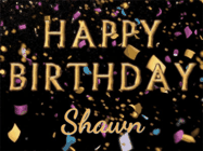 Happy Birthday Shawn GIF