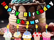 Happy Birthday Shawn GIF