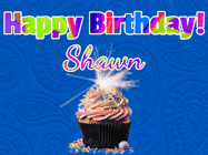 Happy Birthday Shawn GIF