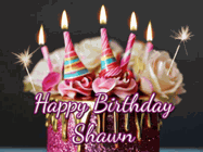Happy Birthday Shawn GIF