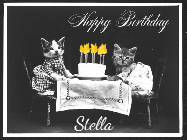 Happy Birthday Stella GIF: 2 cats sit at a table with a birthday cake with animated candles in this birthday gif you can customize with name.