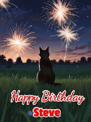 Happy Birthday Steve GIF: An animated gif at night showing the backside of a sitting cat who watches sparkle and fireworks over a meadow. Customize name and happy birthday.