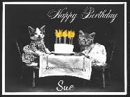 Happy Birthday Sue GIF