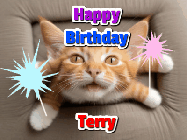 Happy Birthday Terry GIF