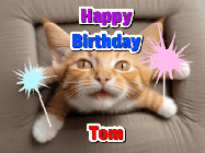 Happy Birthday Tom GIF