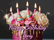 Happy Birthday Tony GIF