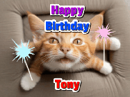 Happy Birthday Tony GIF