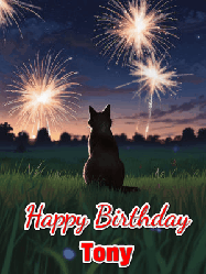 Happy Birthday Tony GIF: An animated gif at night showing the backside of a sitting cat who watches sparkle and fireworks over a meadow. Customize name and happy birthday.