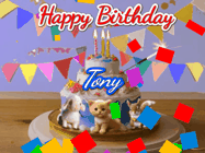 Happy Birthday Tony GIF: Happy Birthday Cake GIF with a cat, lamb, and squirrel on the cake with flickering candles, a sparkler, and falling confetti. Reads Happy Birthday Name and you can customize the name