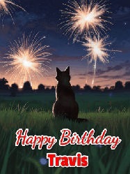 Happy Birthday Travis GIF: An animated gif at night showing the backside of a sitting cat who watches sparkle and fireworks over a meadow. Customize name and happy birthday.