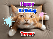 Happy Birthday Trevor GIF