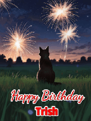 Happy Birthday Trish GIF: An animated gif at night showing the backside of a sitting cat who watches sparkle and fireworks over a meadow. Customize name and happy birthday.