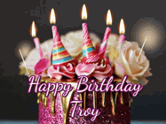 Happy Birthday Troy GIF