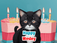 Happy Birthday Wesley GIF