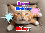 Happy Birthday Whitney GIF