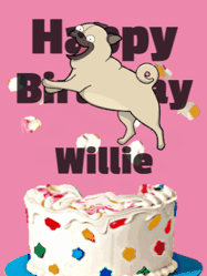 Happy Birthday Willie GIF