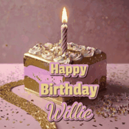 Happy Birthday Willie GIF