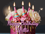 Happy Birthday Willie GIF