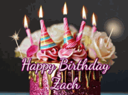 Happy Birthday Zach GIF
