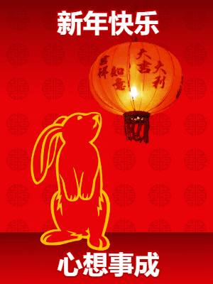 Chinese New Year 11