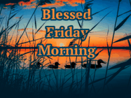 Happy Friday GIF, number 68