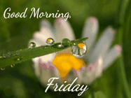 Happy Friday GIF, number 75