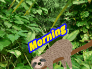 Happy Friday GIF, number 88