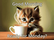 Happy Monday GIF, number 15