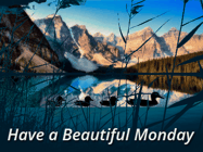 Happy Monday GIF, number 76