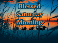 Happy Saturday GIF, number 68