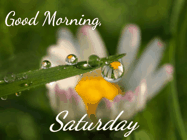 Happy Saturday GIF, number 75