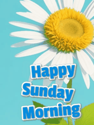 Happy Sunday GIF, number 105