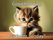 Happy Sunday GIF, number 15