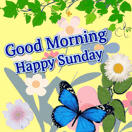 Happy Sunday GIF, number 32