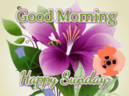 Happy Sunday GIF, number 55