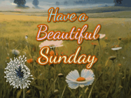 Happy Sunday GIF, number 57