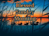 Happy Sunday GIF, number 68