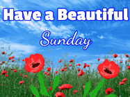 Happy Sunday GIF, number 87