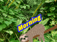 Happy Sunday GIF, number 88