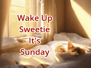 Happy Sunday GIF, number 97