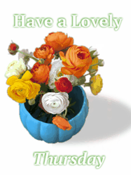 Happy Thursday GIF, number 85