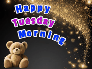 Happy Tuesday GIF, number 1: A cute teddy bear sits in corner of animated happy birthday gif with customized greeting. Sparklers and animated text.