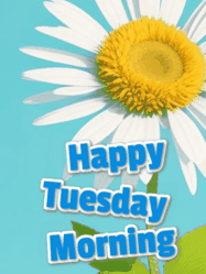 Happy Tuesday GIF, number 105