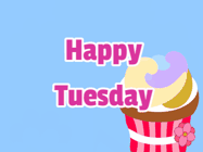 Happy Tuesday GIF, number 19: Cute kitty wishes a happy birthday name with a cupcake on its head. Customize the mesage, name, fonts, and colors.