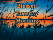 Happy Tuesday GIF, number 68