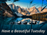 Happy Tuesday GIF, number 76