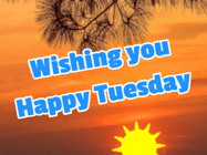 Happy Tuesday GIF, number 78