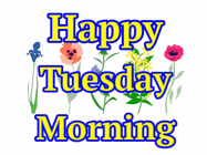 Happy Tuesday GIF, number 80