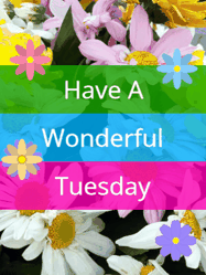 Happy Tuesday GIF, number 83