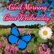 Happy Wednesday GIF, number 102